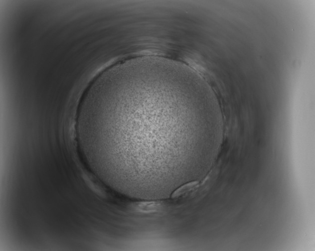 X0000088870050200706151801