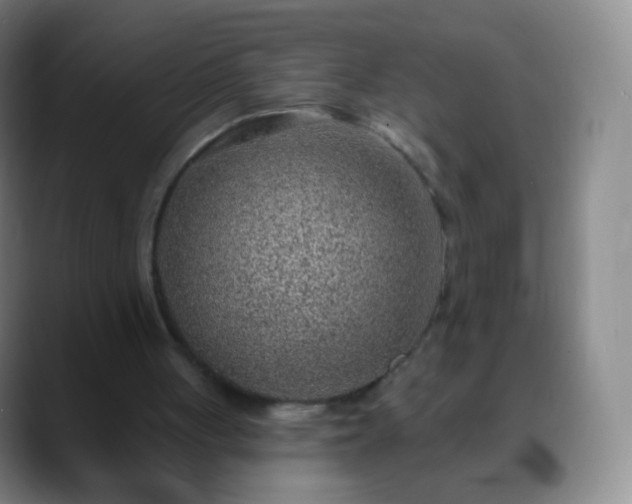 X0000088870051200706151801