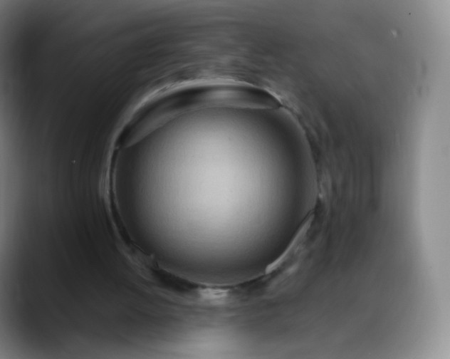 X0000088870052200706151801