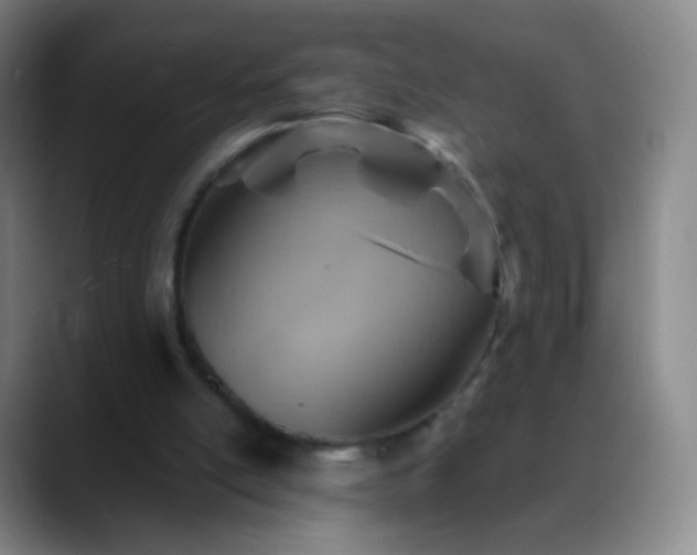 X0000088870054200706151801
