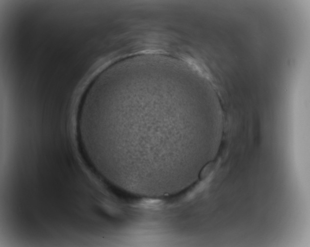 X0000088870055200706151801