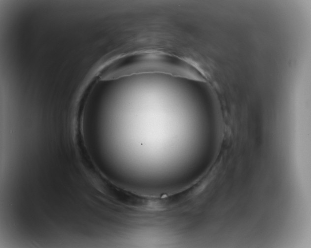 X0000088870056200706151801