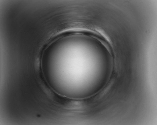 X0000088870057200706151801