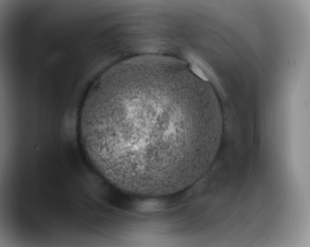 X0000088870058200706151801