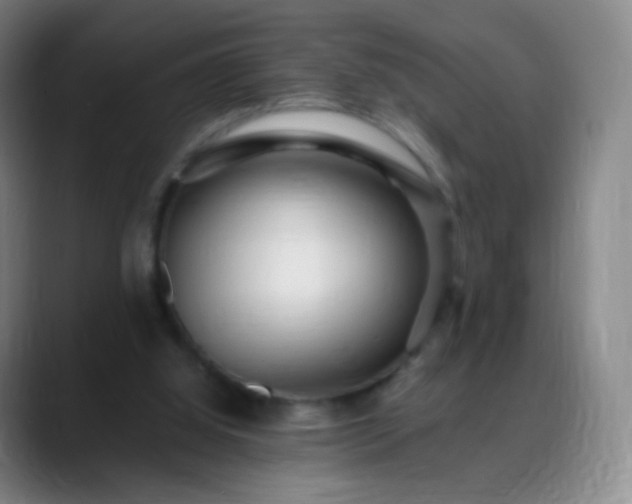 X0000088870060200706151801
