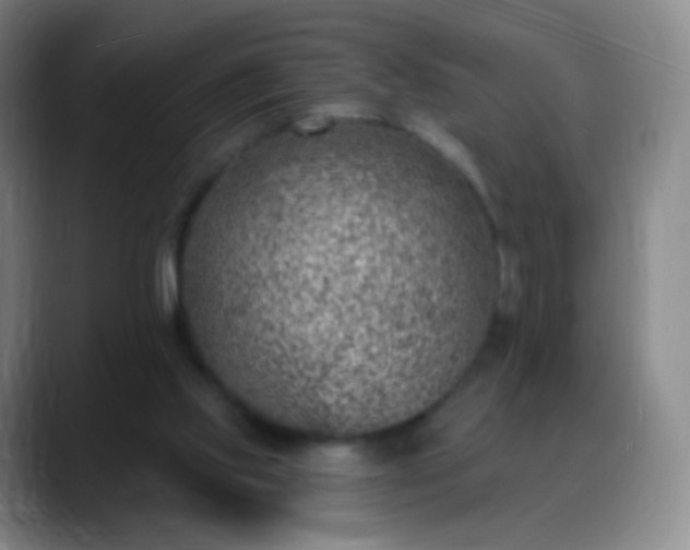 X0000088870061200706151801