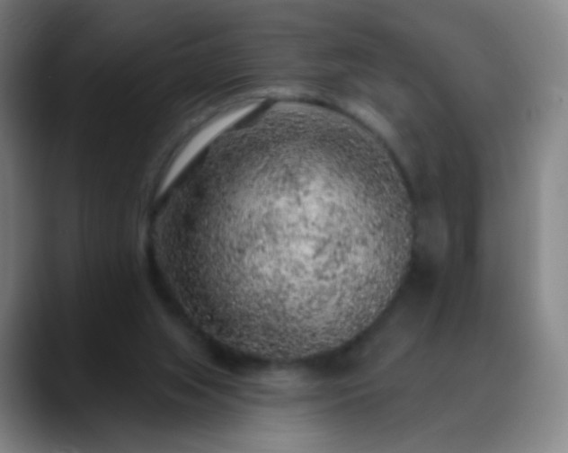 X0000088870063200706151801