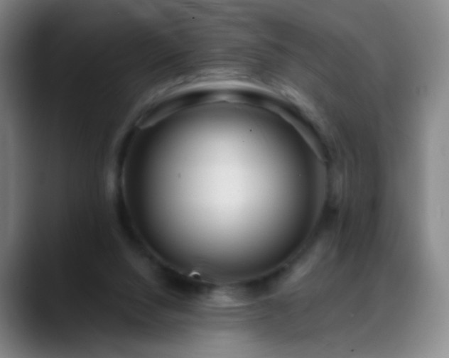 X0000088870064200706151801