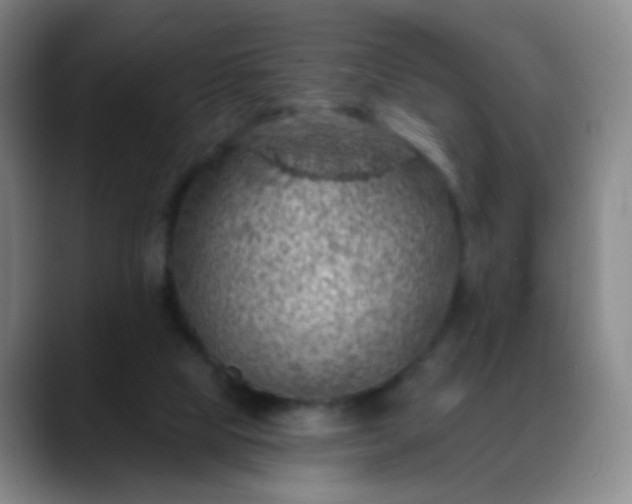 X0000088870065200706151801