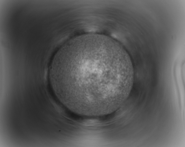 X0000088870066200706151801