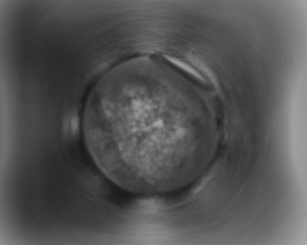 X0000088870067200706151801