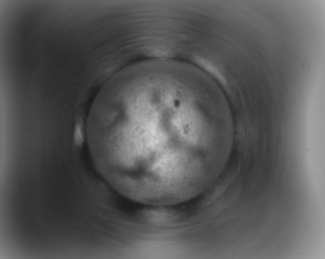 X0000088870069200706151801
