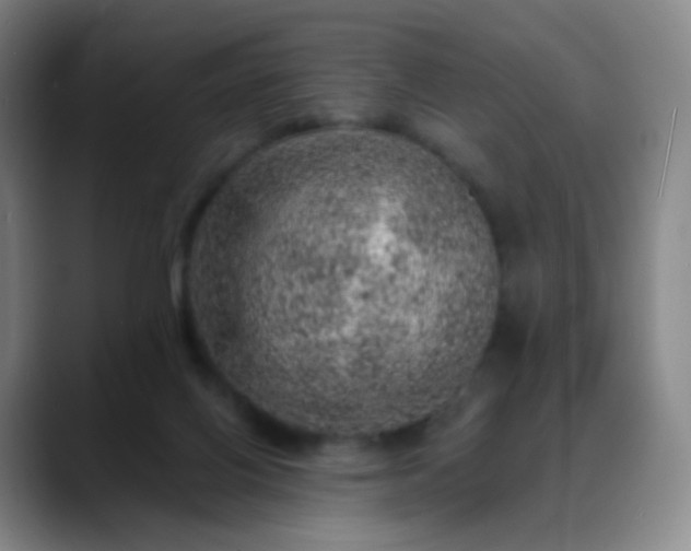 X0000088870070200706151801