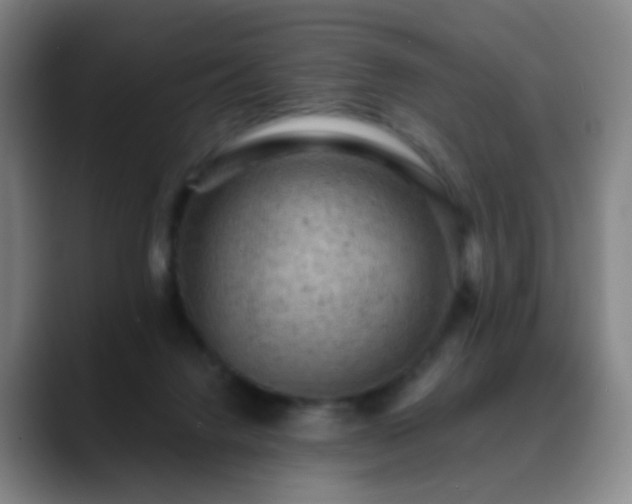 X0000088870072200706151801