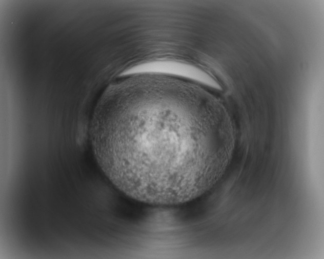X0000088870073200706151801