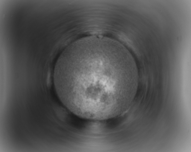 X0000088870074200706151801