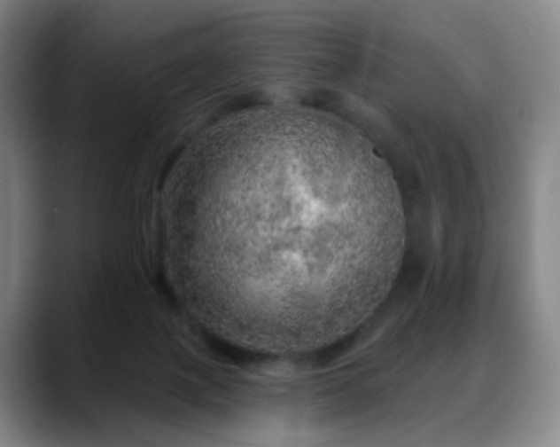 X0000088870075200706151801
