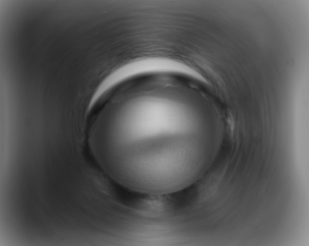X0000088870076200706151801