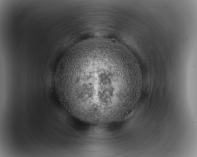 X0000088870078200706151801