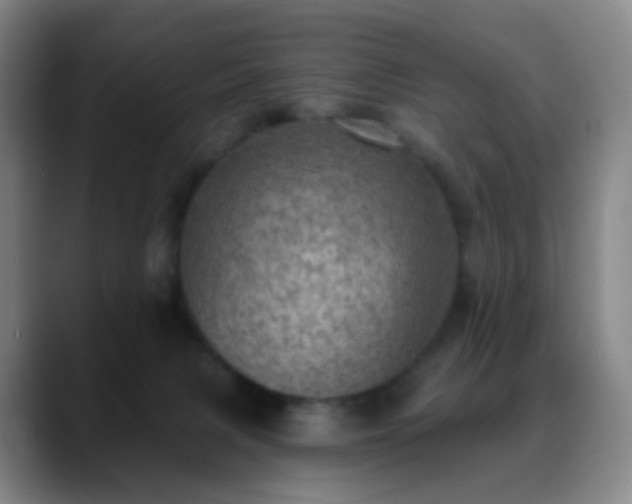 X0000088870079200706151801