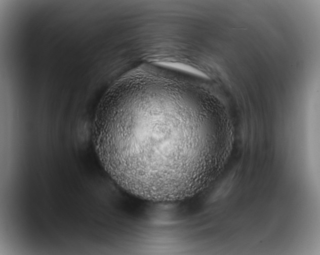 X0000088870081200706151801