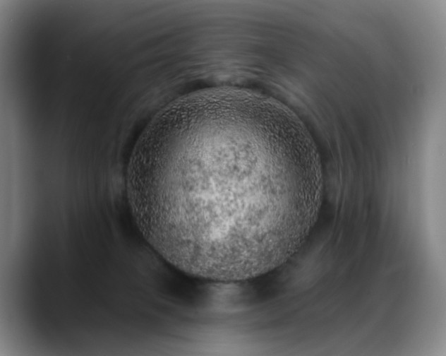 X0000088870085200706151801