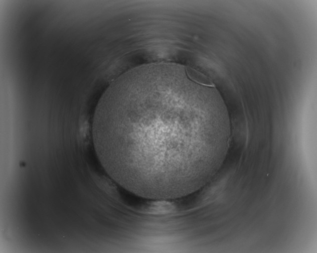 X0000088870087200706151801