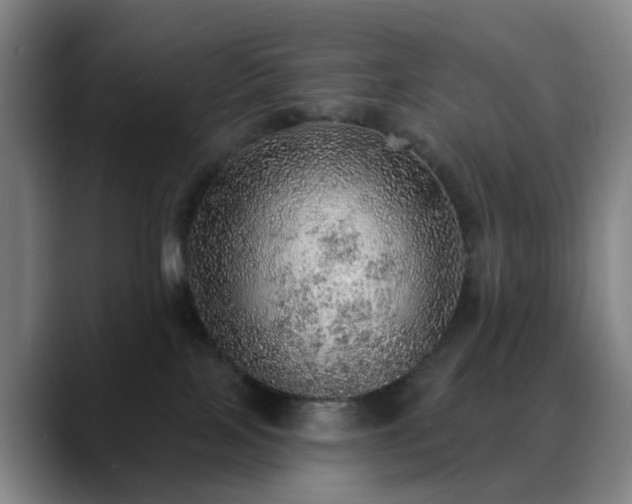 X0000088870089200706151801