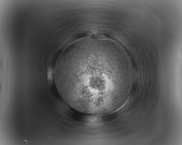 X0000088870094200706151801