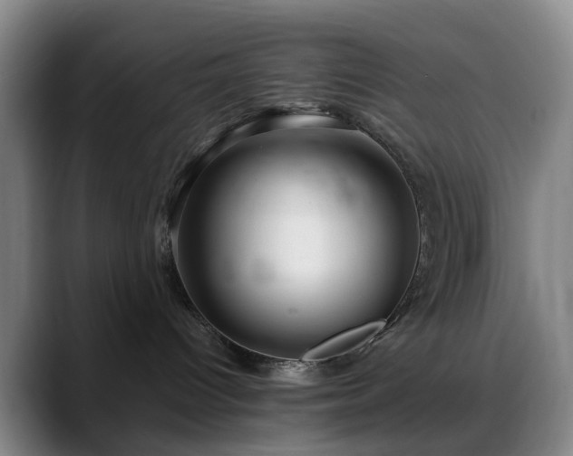 X0000088870096200706151801