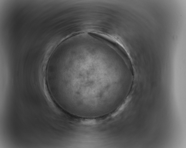 X0000088870097200706151801