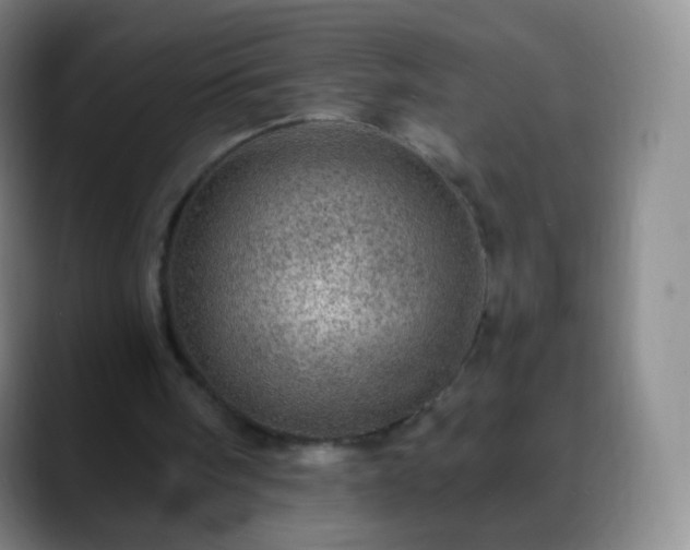 X0000088870098200706151801