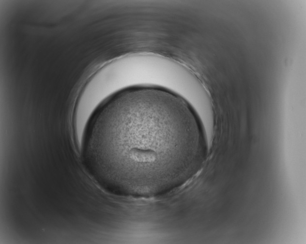 X0000088870099200706151801