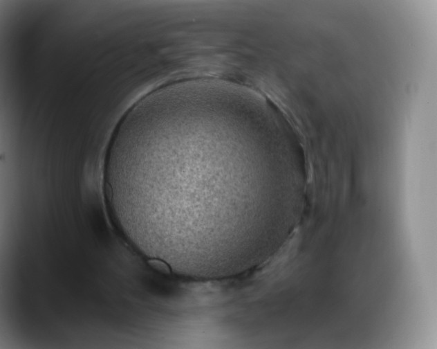 X0000088870100200706151800