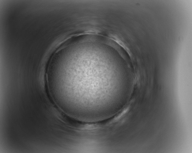 X0000088870101200706151800