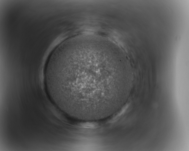 X0000088870102200706151800