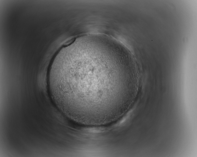 X0000088870103200706151800