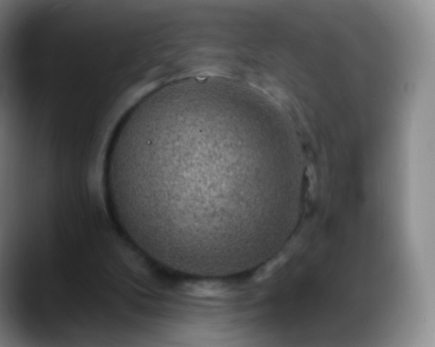 X0000088870104200706151800