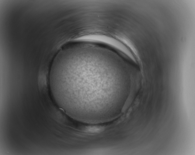 X0000088870105200706151800