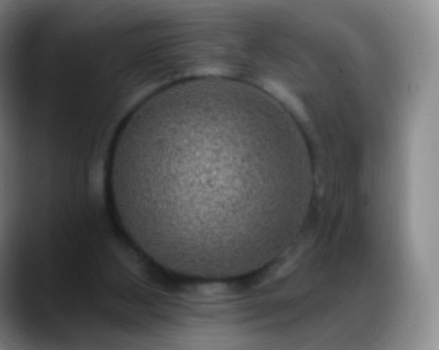 X0000088870108200706151800
