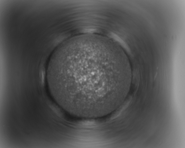 X0000088870110200706151800
