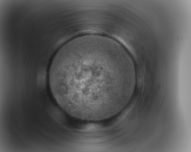 X0000088870111200706151800