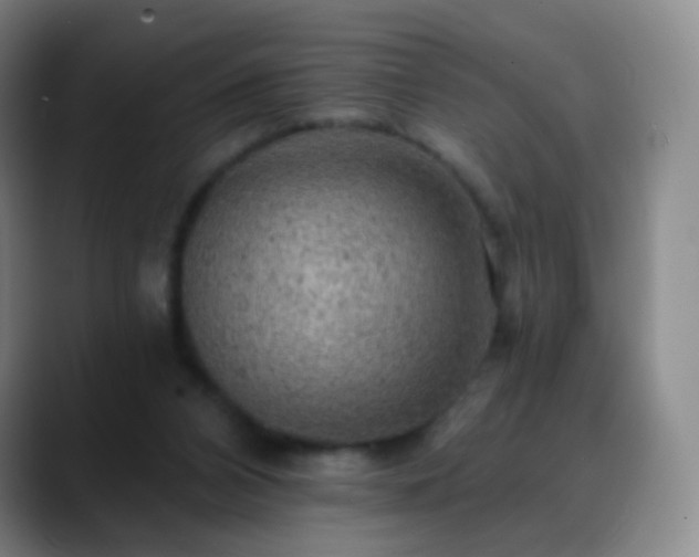 X0000088870112200706151800