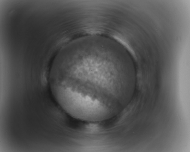 X0000088870114200706151800