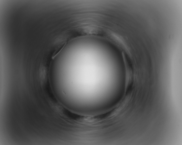 X0000088870121200706151800