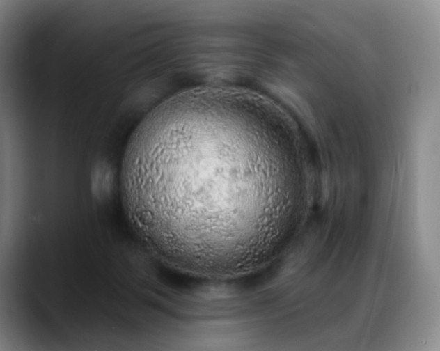 X0000088870123200706151800
