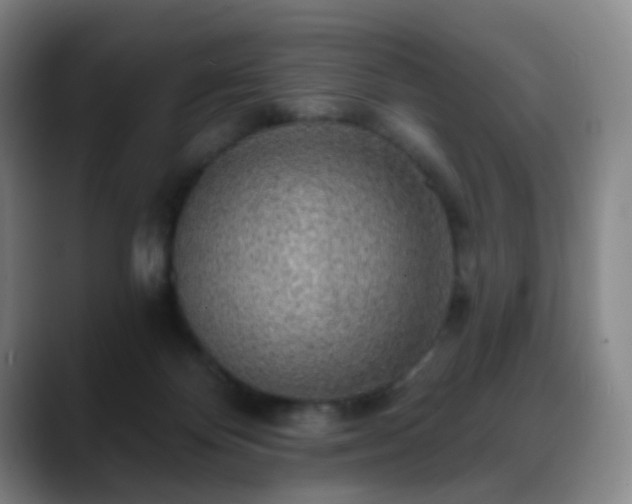 X0000088870124200706151800