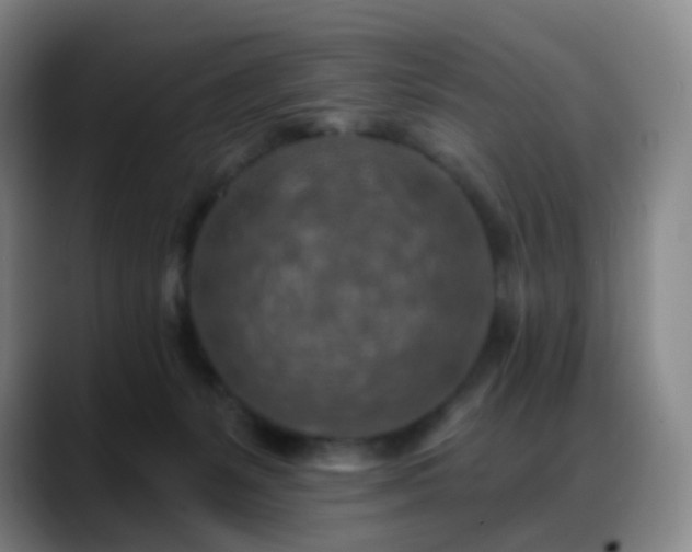 X0000088870127200706151800