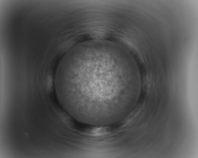 X0000088870130200706151800