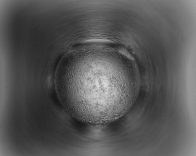 X0000088870131200706151800